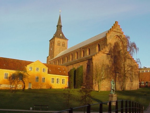 Odense. Foto: Lars Bjørnsten