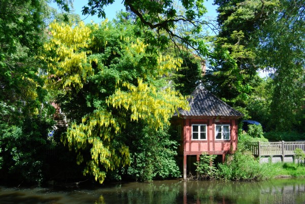 Odense Å. Foto Lars Bjørnsten Odense Å. Foto Lars Bjørnsten