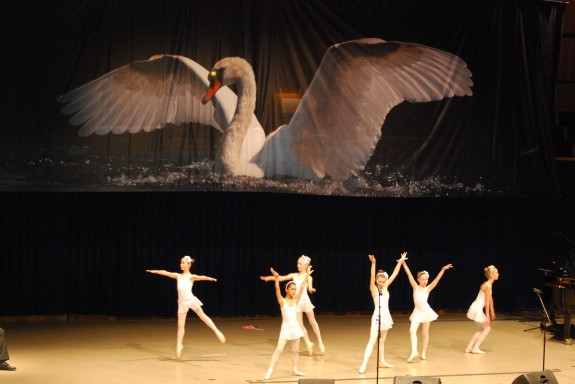 Det Kongelige Teaters Balletskole i Odense en "Svanedans" under vingerne af et smukt svanebillede af Benny Nybo