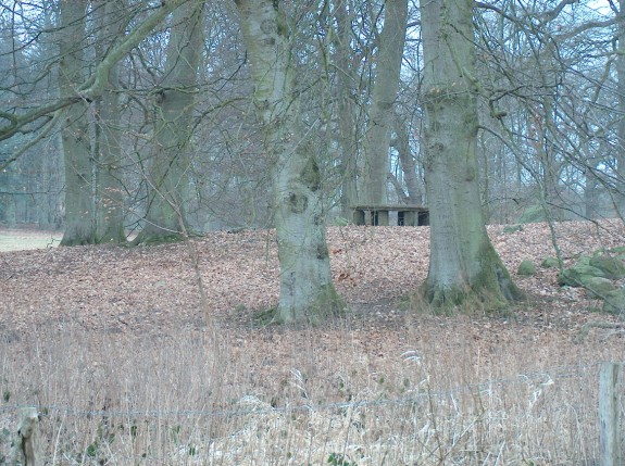 stenbord-glorup2