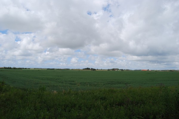 Jylland. Foto Lars Bjørnsten 2008