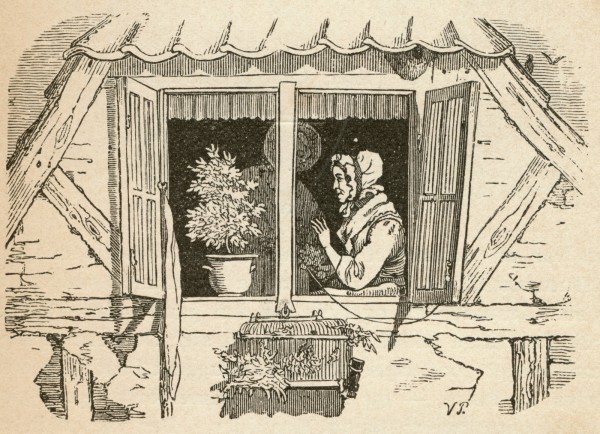 eventyrillustration_0034