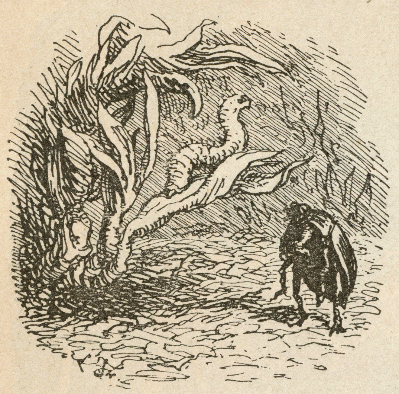 eventyrillustration_0058
