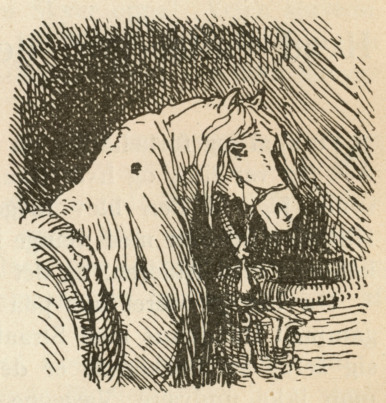 eventyrillustration_0060-001