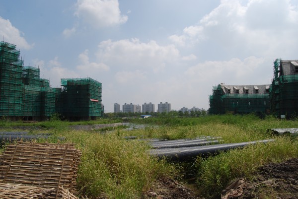 andersen-shanghai (5)