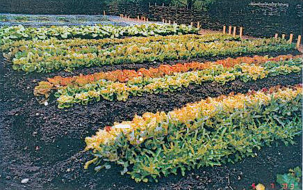 H.C. Andersen Blomsterpark Visualisering af "Gartneren og Herskabet