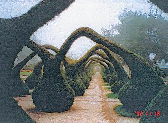 blo7