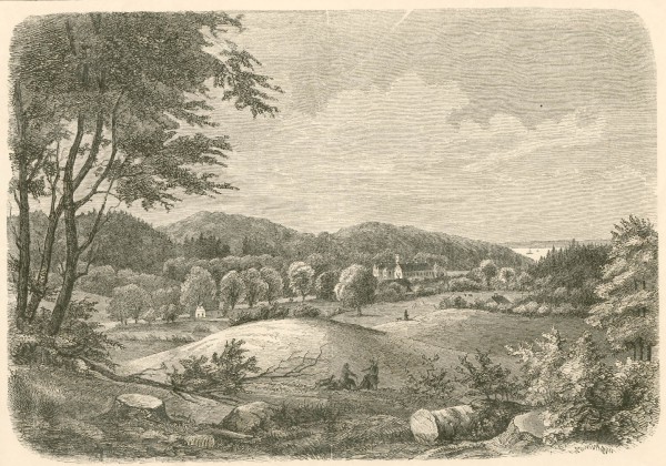 tirsbaek-vejle-fjord