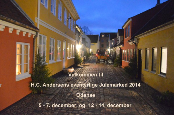 julemarked-odense-2014