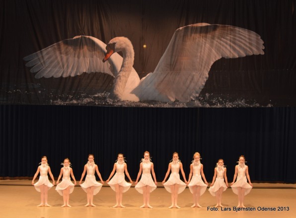 hca020413-ballet