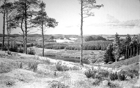 Fynske_Alper_set_fra_Holstenshus_Dyrehave_Carl_Jensen